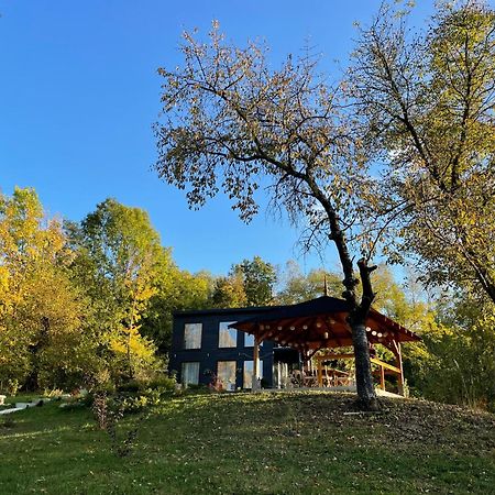 Casa De Pe Un Deal-Provita De Sus-Prahova ภายนอก รูปภาพ