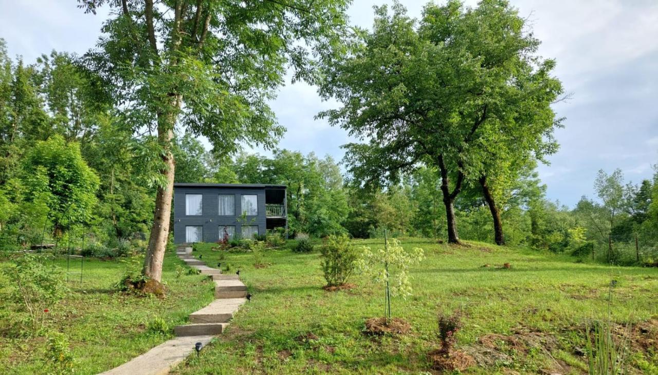 Casa De Pe Un Deal-Provita De Sus-Prahova ภายนอก รูปภาพ